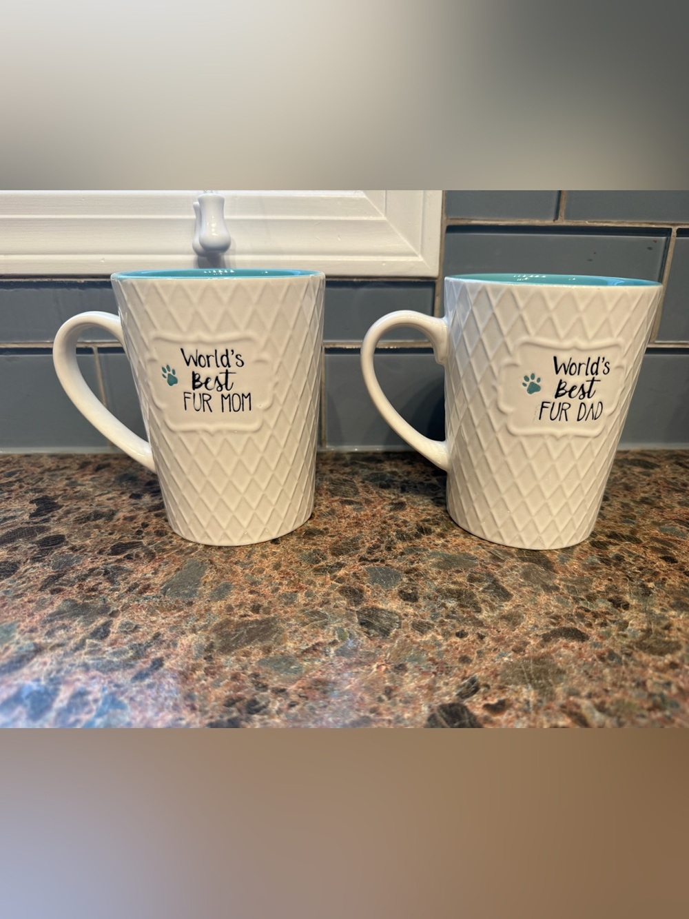 World's Best Fur Mom White Ceramic Mug with Aqua Interior